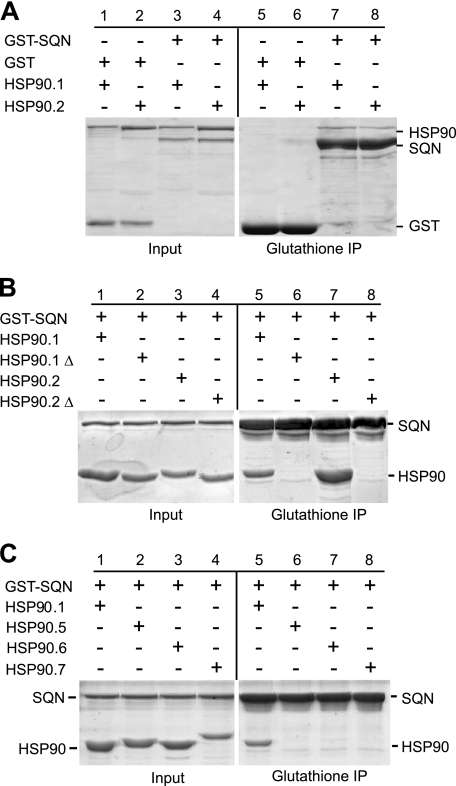 FIGURE 1.