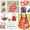 Fig. 3.