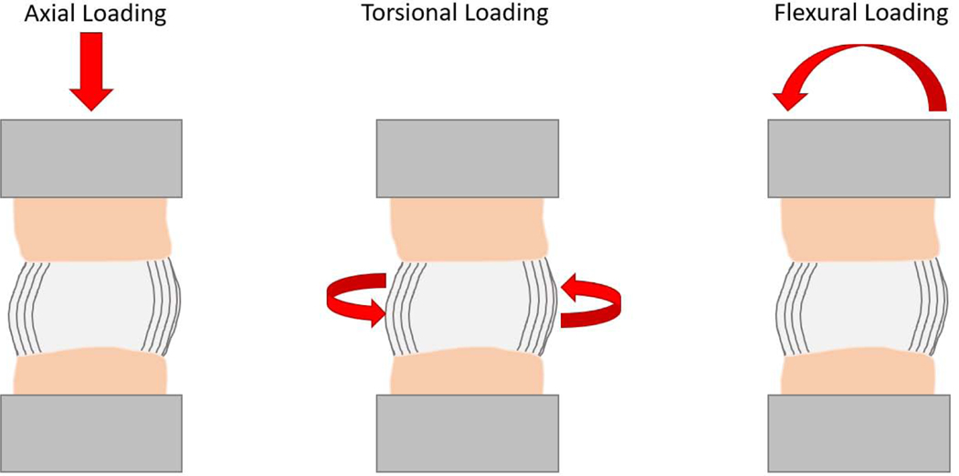 Figure 2: