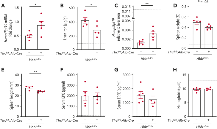 Figure 4.