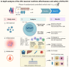 Graphical Abstract
