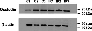 Fig. 6