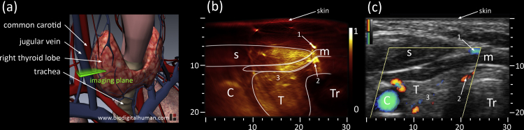 Fig. 2