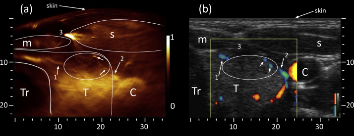 Fig. 3