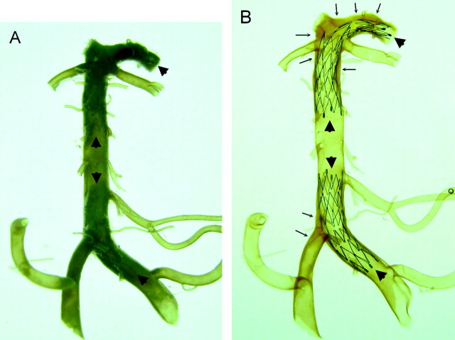 Fig 2.