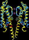 F<sc>igure</sc> 1.