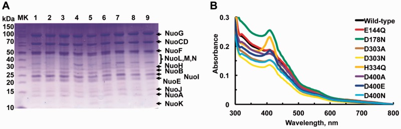 Fig. 2