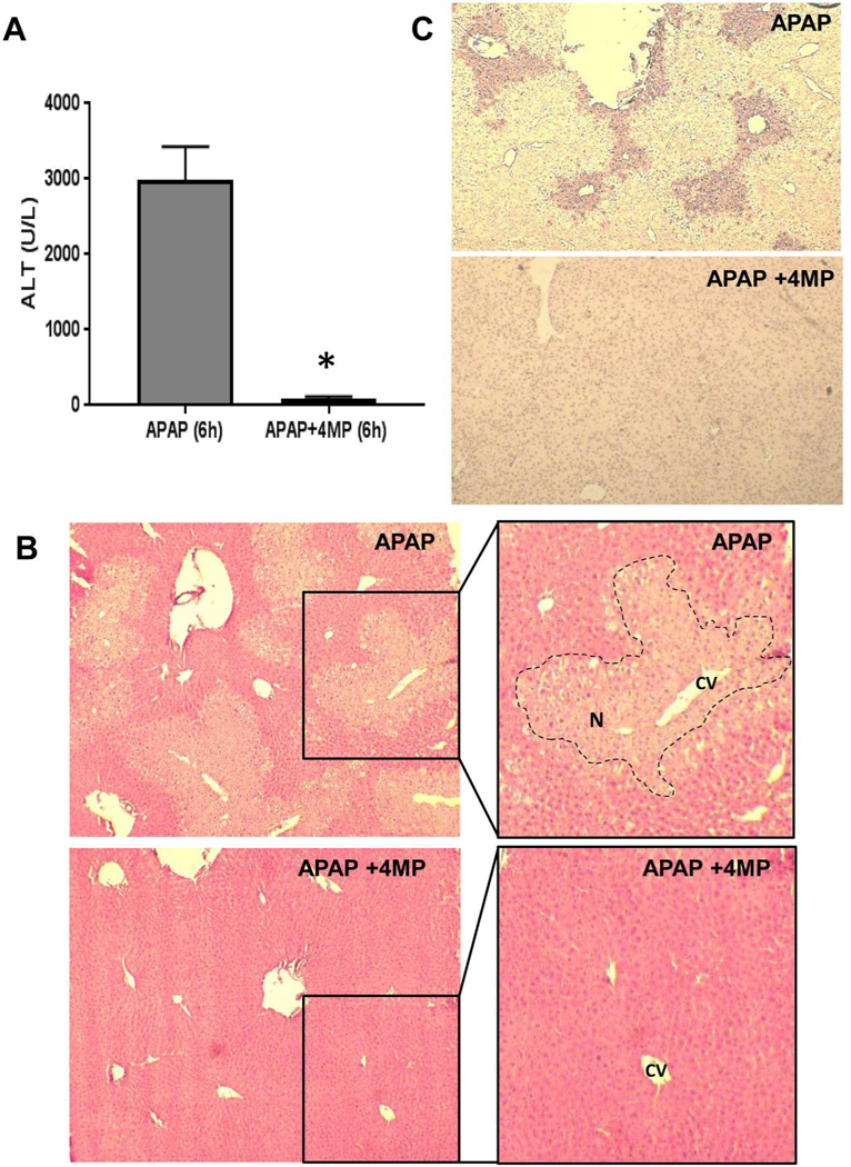 Figure 1: