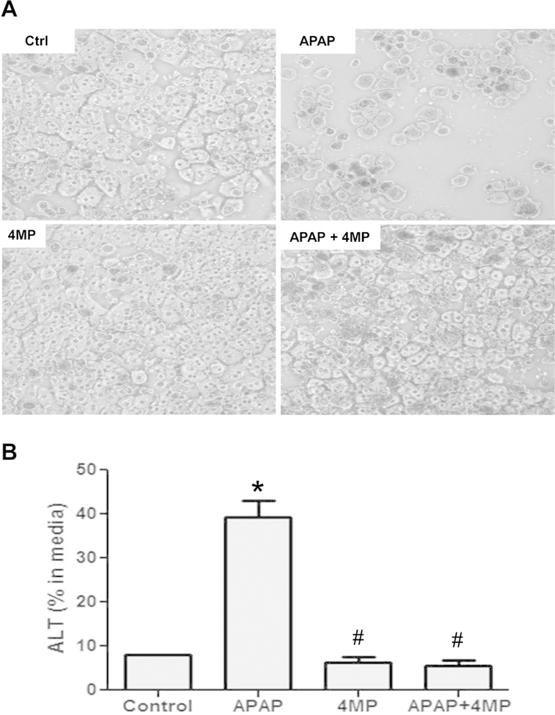 Figure 7: