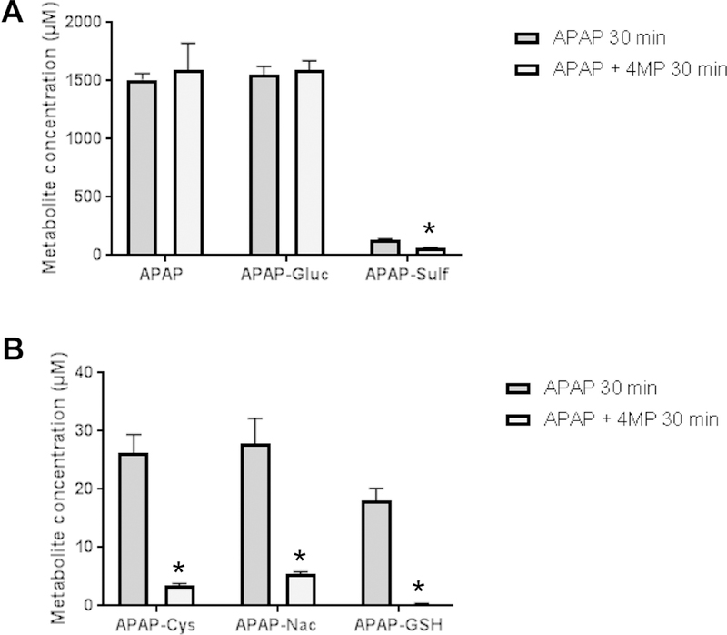 Figure 5: