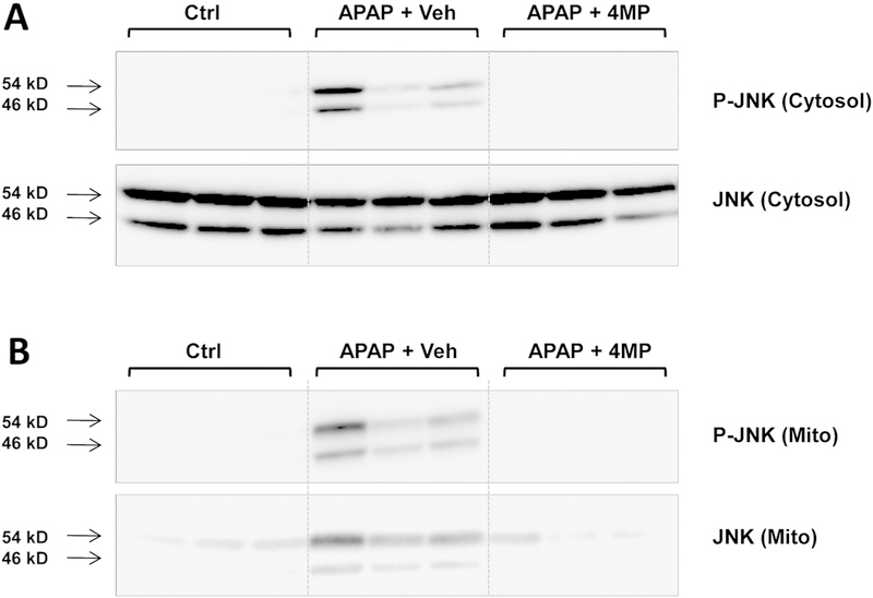 Figure 2: