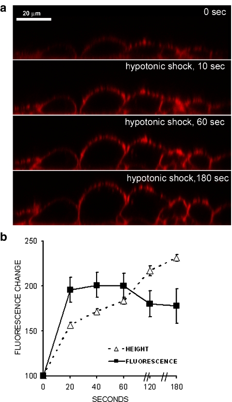 Fig. 3