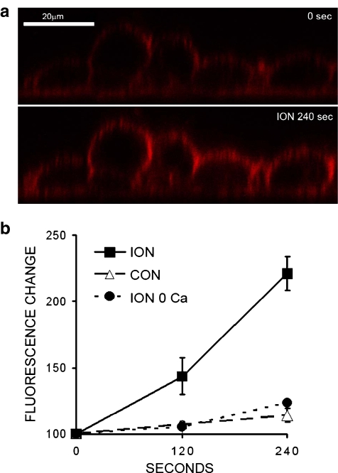 Fig. 4