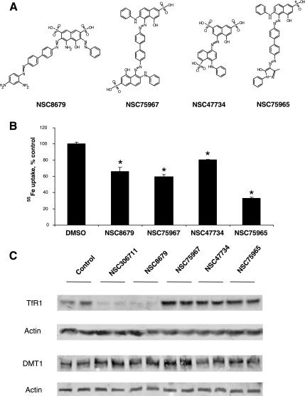 Fig. 6.