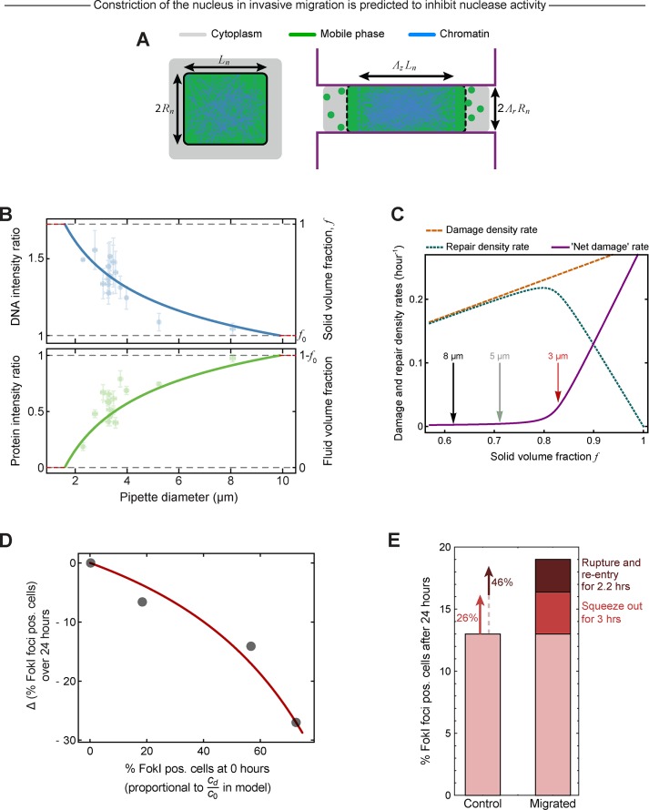 FIGURE 6: