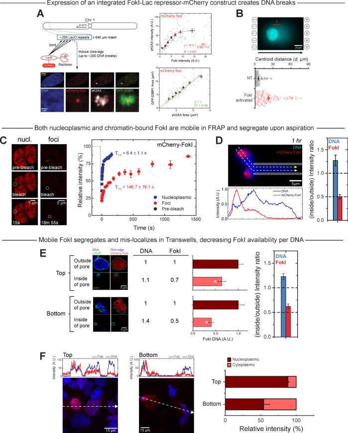 FIGURE 4: