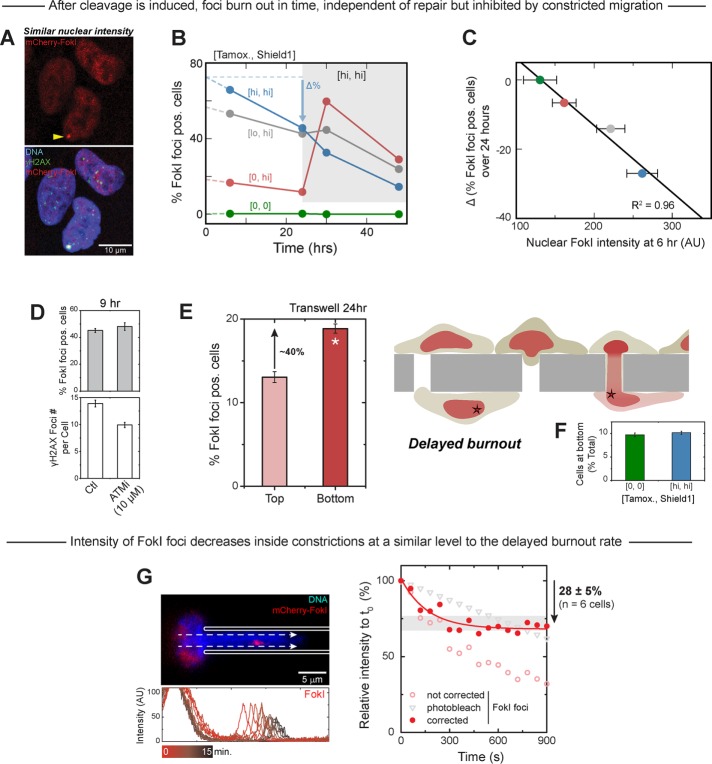 FIGURE 5: