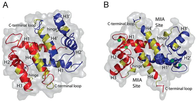 Figure 13