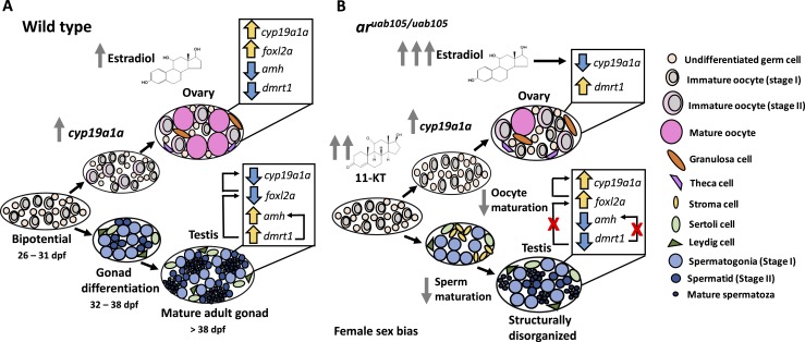 Figure 9.