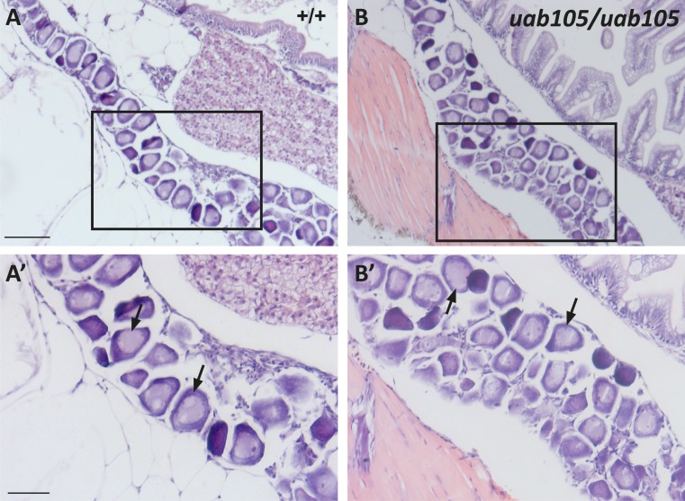 Figure 6.