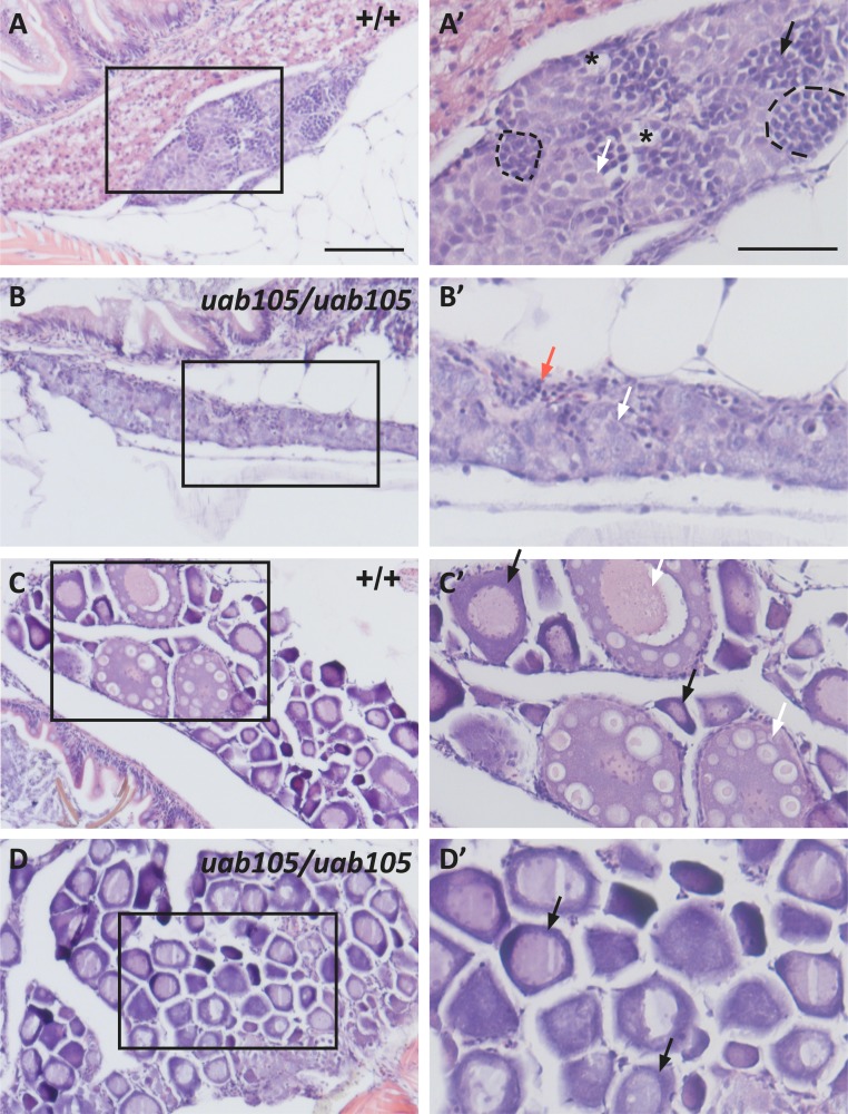 Figure 7.