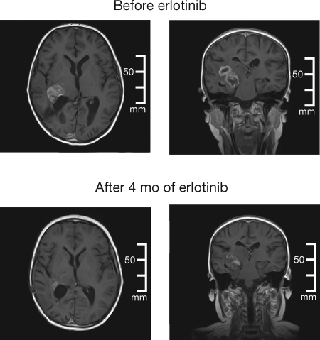 Fig. 1.