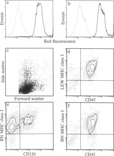 graphic file with name pnas01066-0550-a.jpg