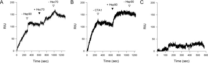 Figure 5.