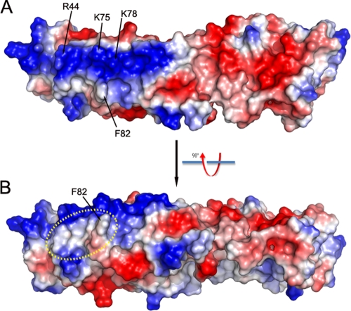 FIG. 4.