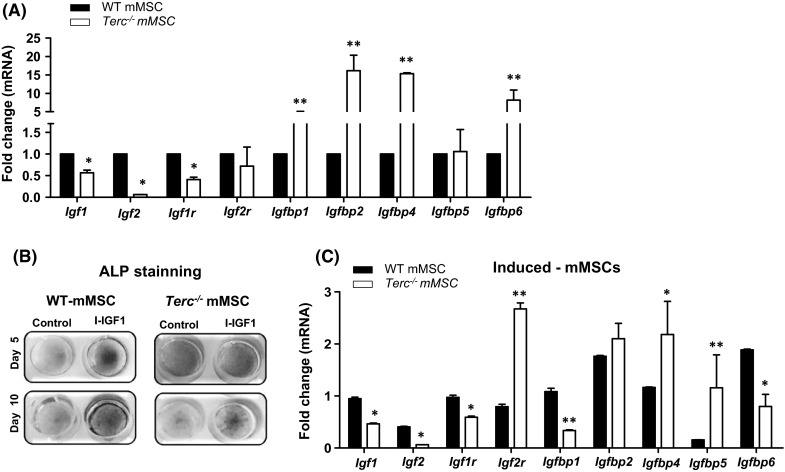 Fig. 4