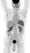 Fig 3: