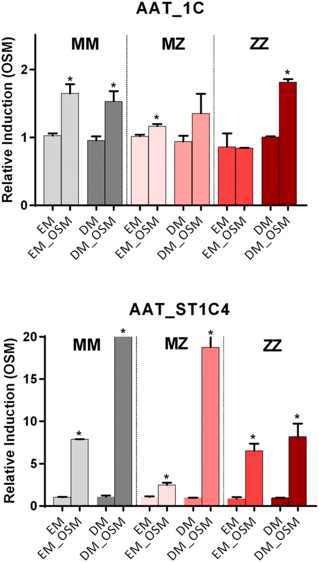 Fig. 3