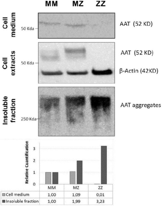 Fig. 6