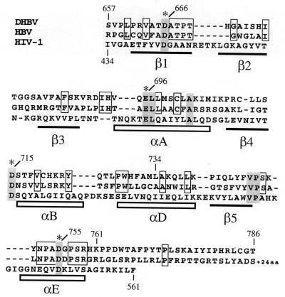 FIG. 8