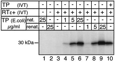 FIG. 5