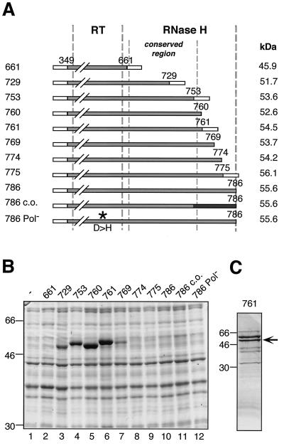 FIG. 6