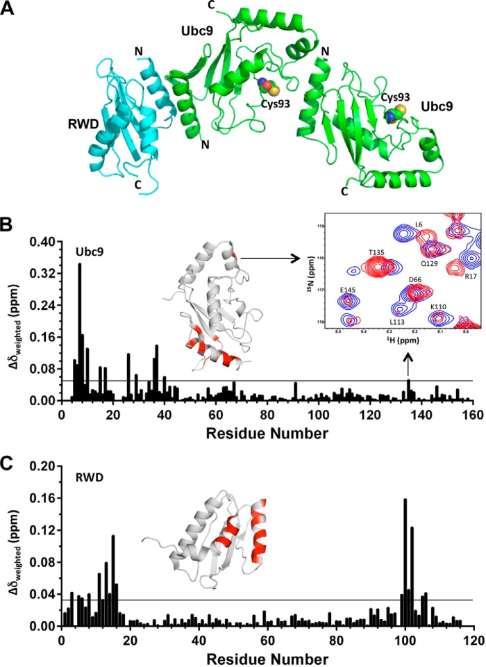 FIGURE 2.