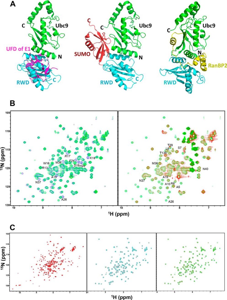 FIGURE 4.