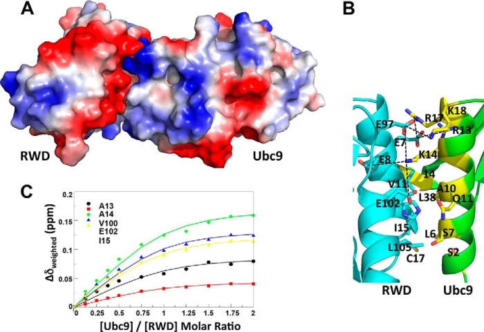 FIGURE 3.