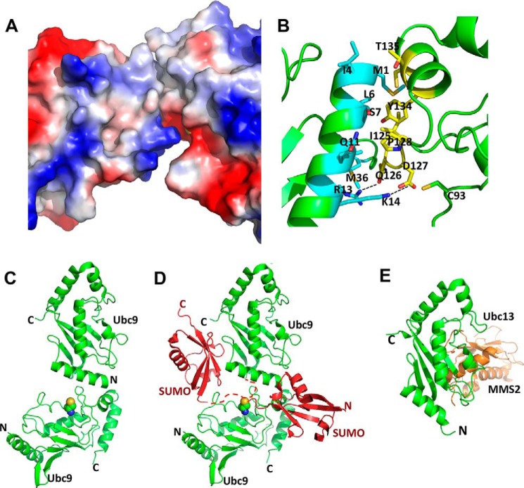 FIGURE 6.