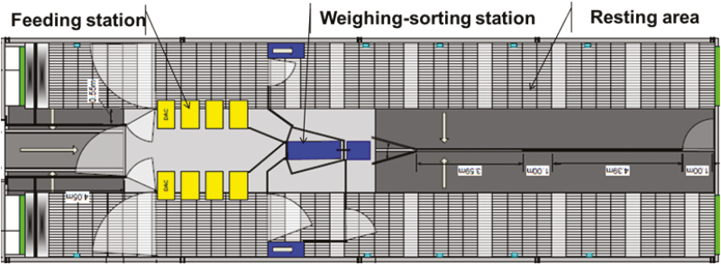 Figure 2.