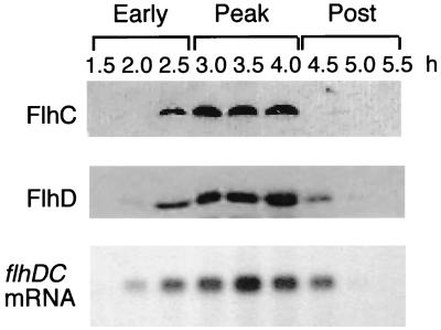 FIG. 1