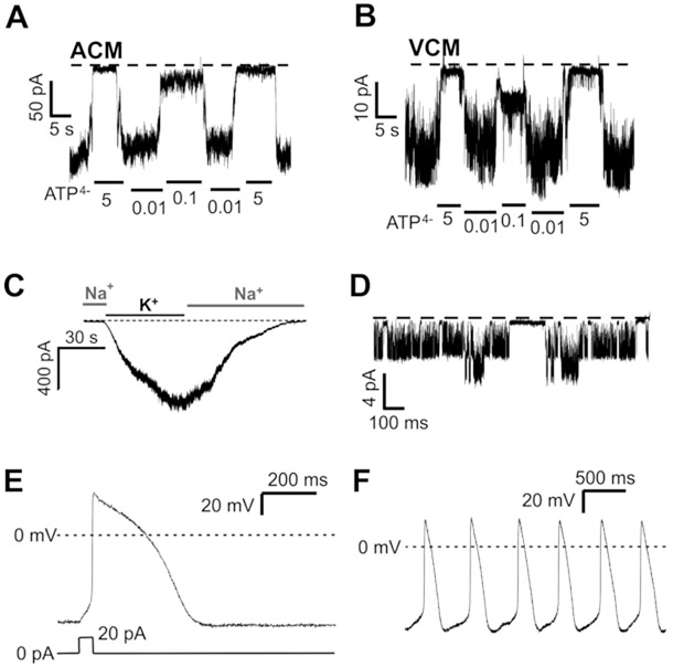 Figure 3: