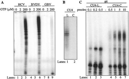 FIGURE 7.