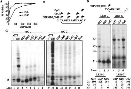 FIGURE 4.