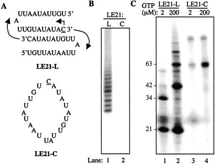 FIGURE 2.