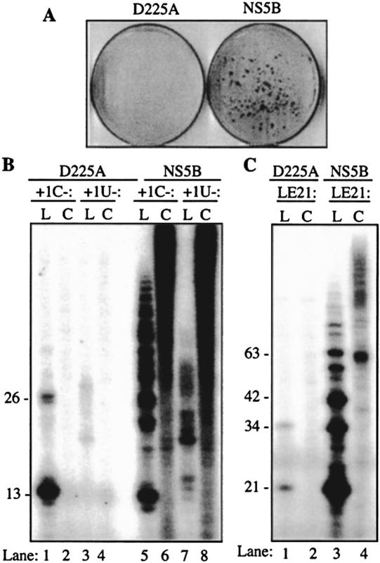 FIGURE 3.