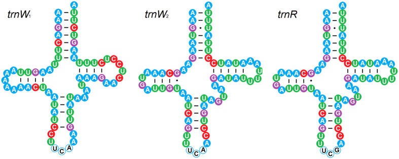 Figure 5