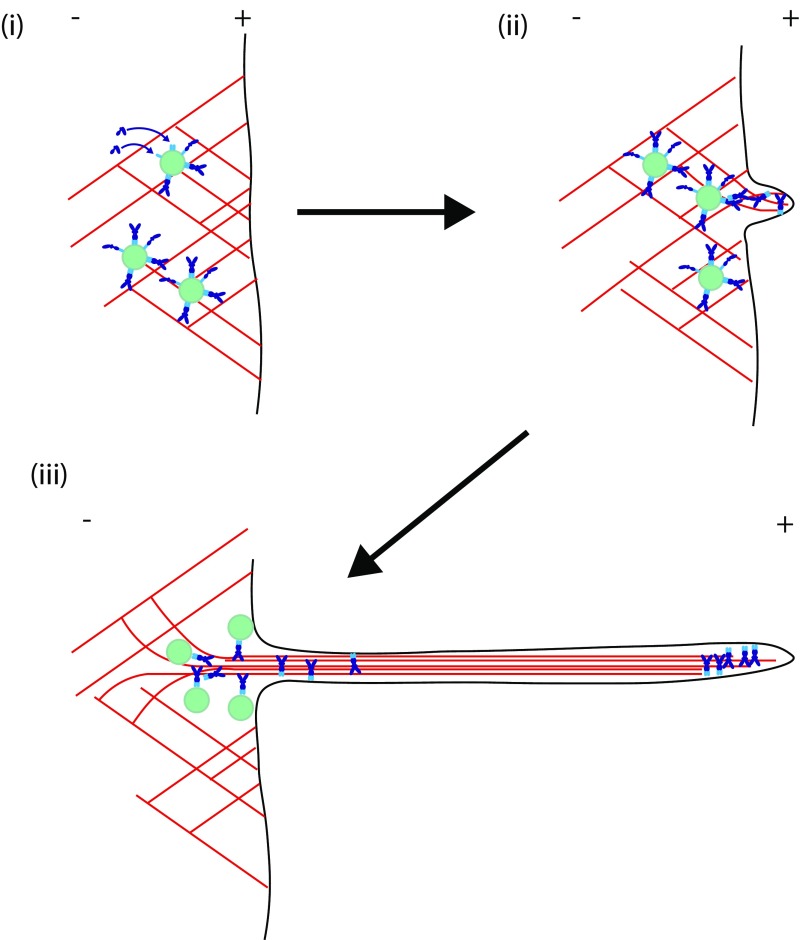 Fig. S7.