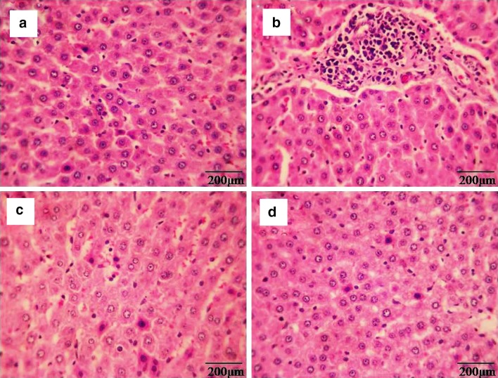 Fig. 7